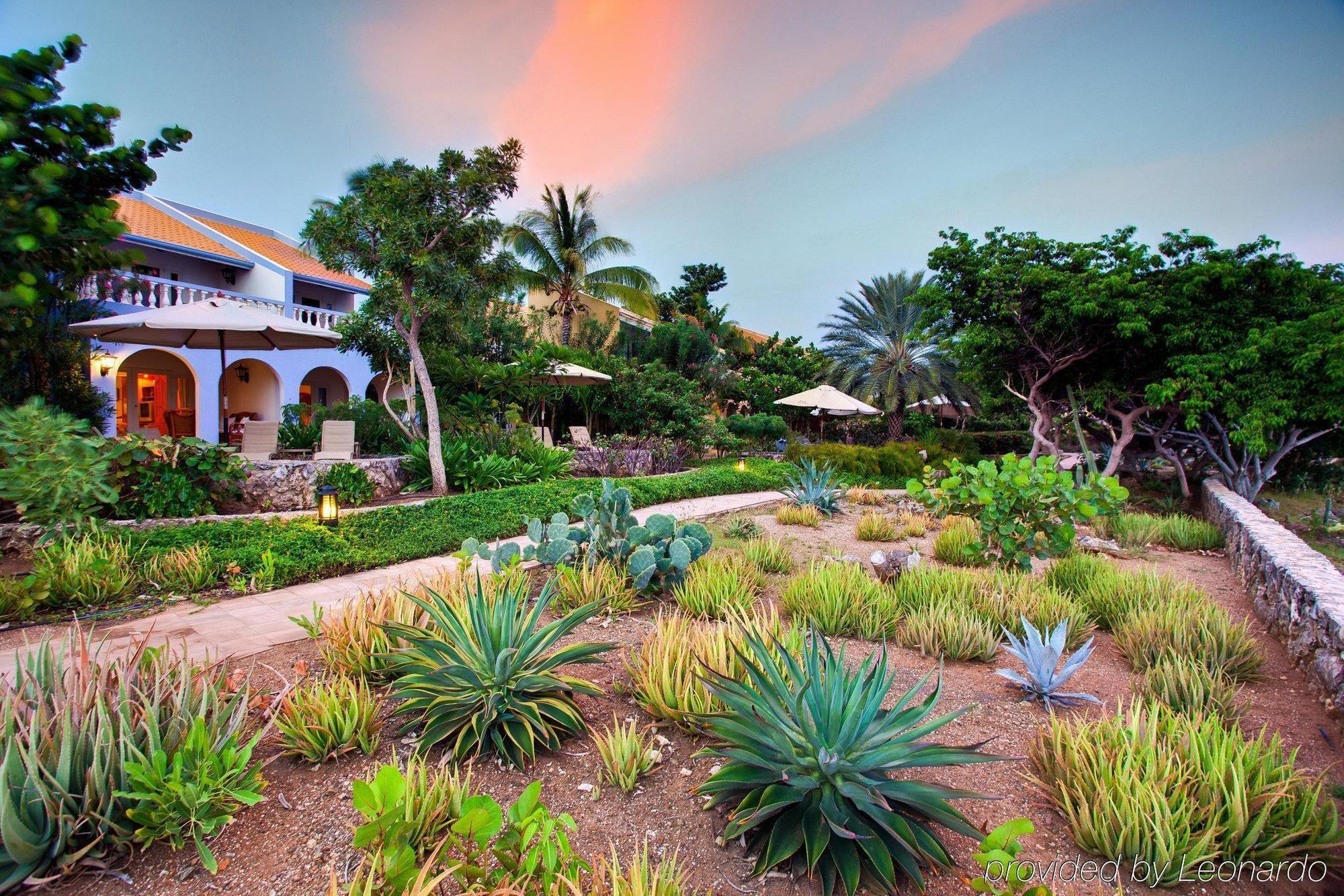 Kura Hulanda Lodge & Beach Club Westpunt Bekvämligheter bild
